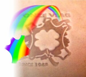 logo onze vlag tbv prof pic fbpage okt 2023 rainbow