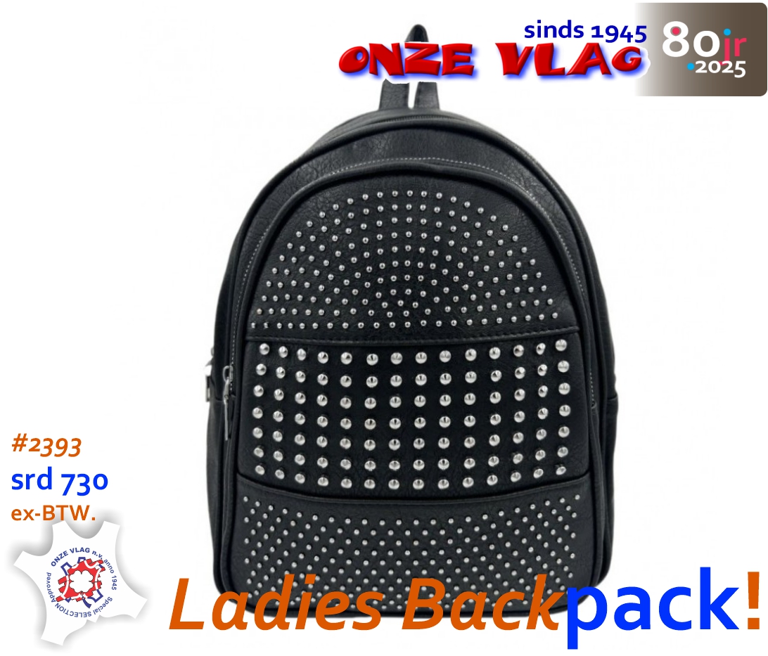 2393 handbagbackpqack