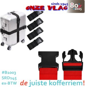 b1003 kofferriem