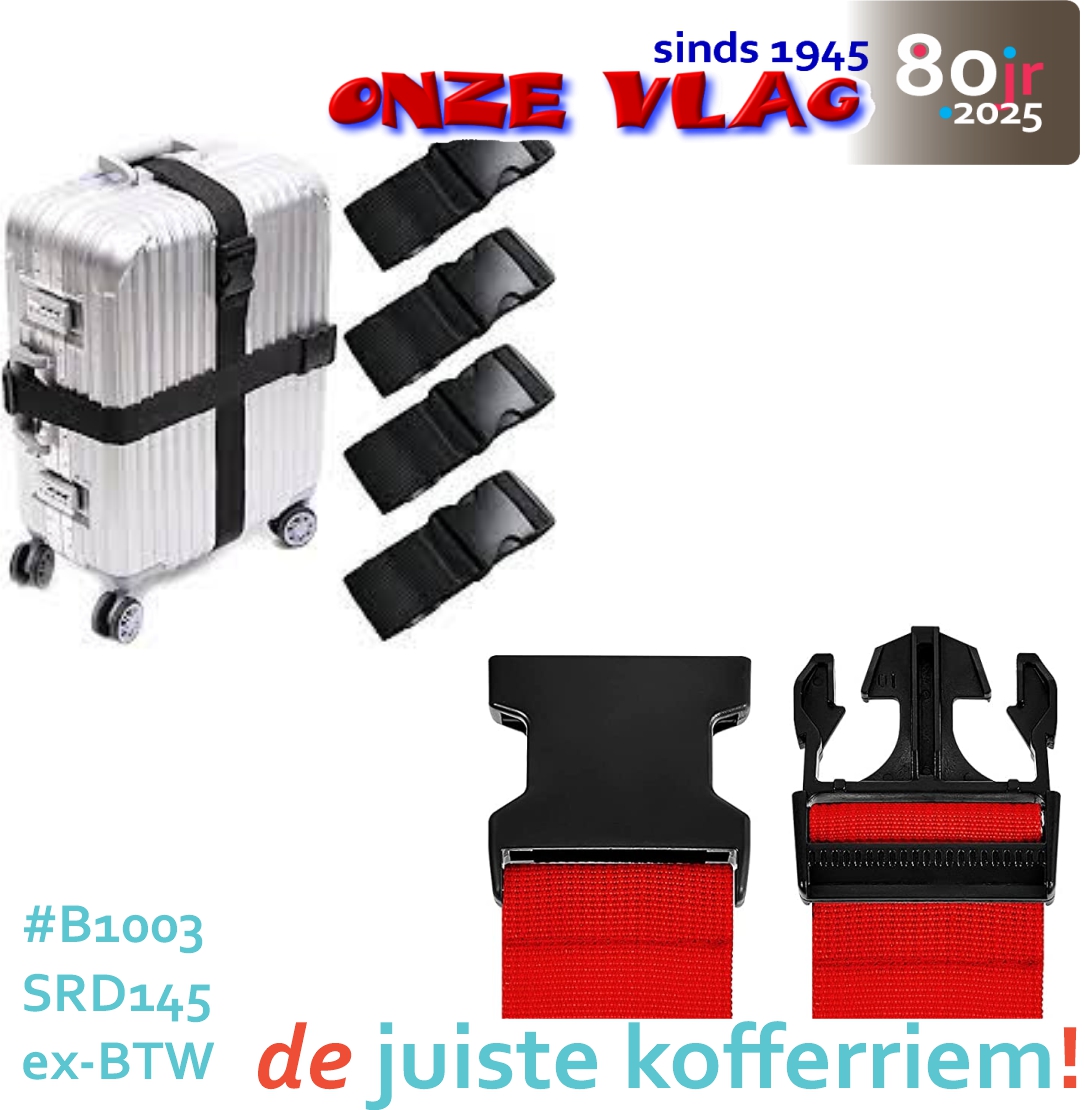 b1003 kofferriem