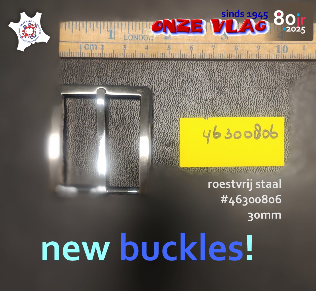 46300806 buckle