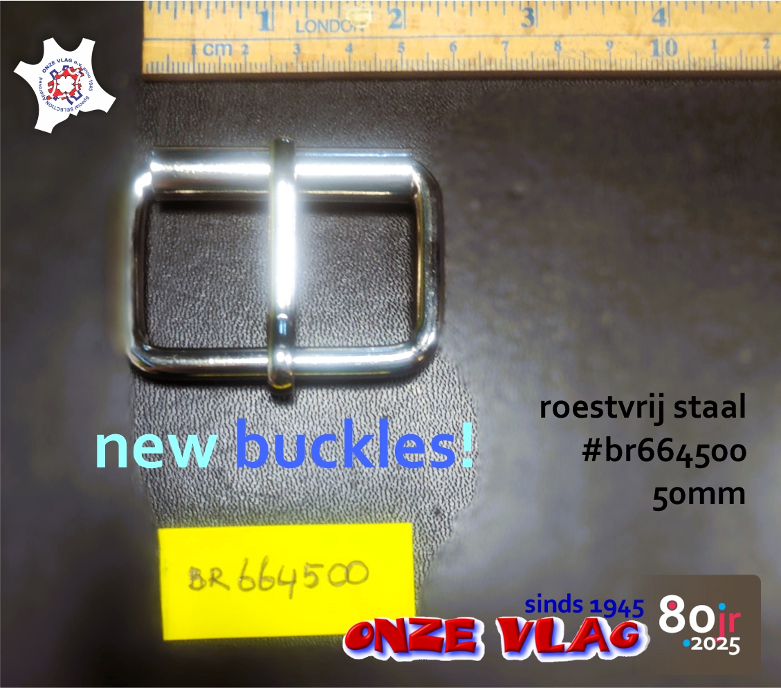 br664500 buckle