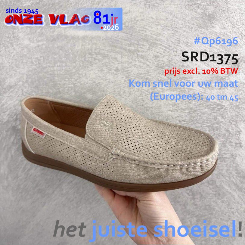 QP6196bei