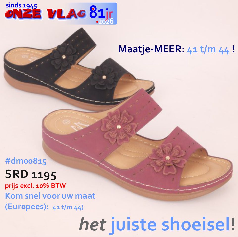 dm00815