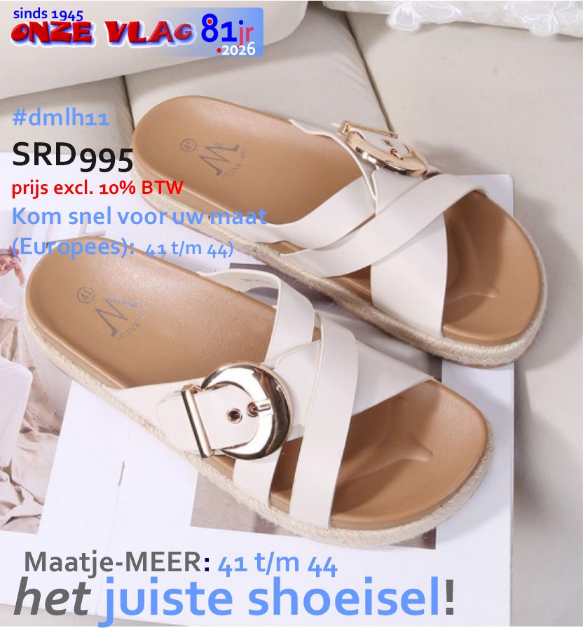 dmlh11bei