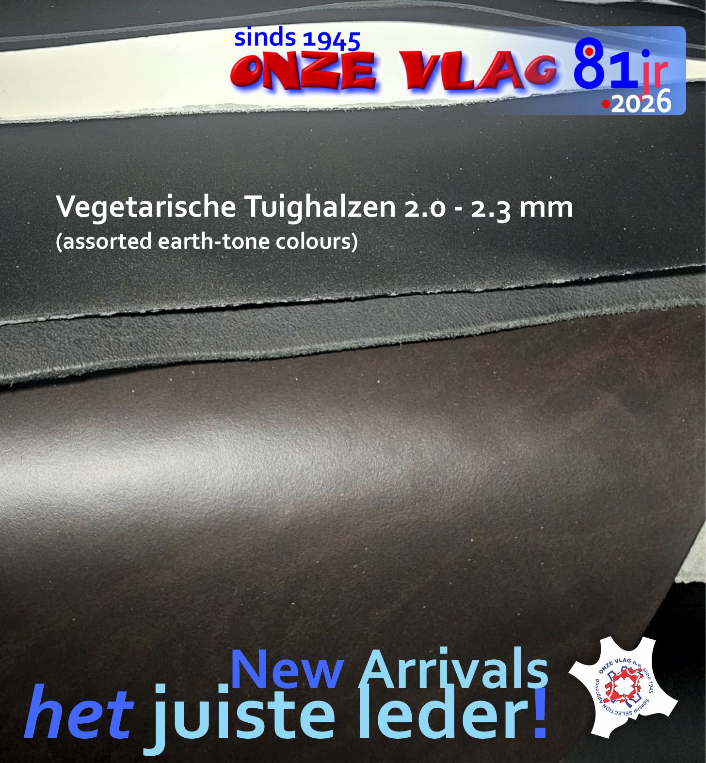 wendel stckltsassorted colors 3