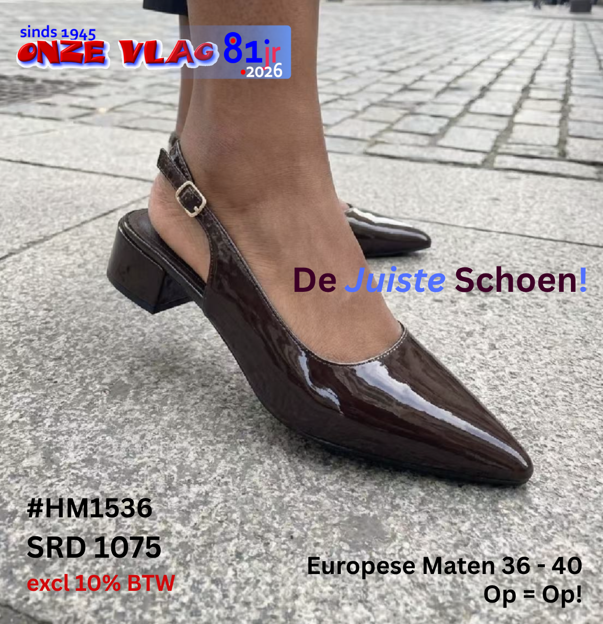 HM1536 BR