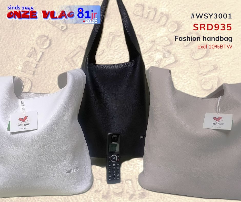 wsy3001